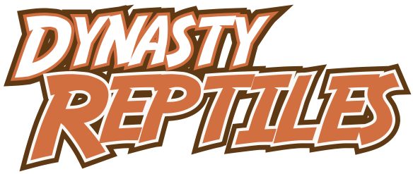 Dynasty Reptiles