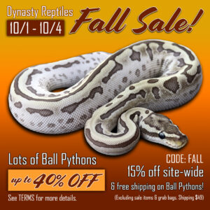 Fall-Sale-2021-300x300 Fall Sale 2021