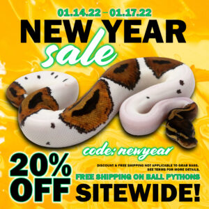 NewYear-Sale-300x300 NewYear Sale