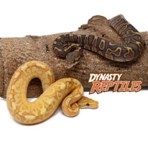 FB-Profile-Pic-2023-300x300 FB Profile Pic 2023