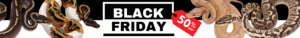 White-Black-Friday-Sale-Animated-LinkedIn-Banner-2000-x-200-px-300x38 White Black Friday Sale Animated LinkedIn Banner (2000 x 200 px)