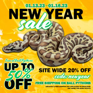 NewYear-Sale-2023-copy-300x300 NewYear Sale 2023 copy