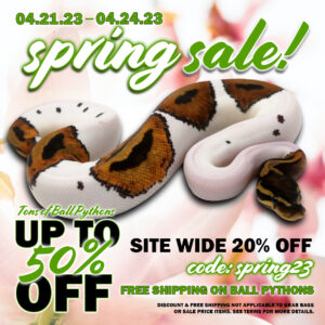 spring-sale-2023-copy-300x300 spring sale 2023 copy