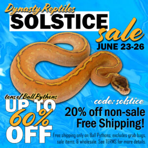 Summer-Sale-2023-copy-300x300 Summer Sale 2023 copy