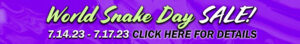 SALE-header-banner-snake-day-copy-scaled-e1689004038722-300x44 SALE header banner snake day copy
