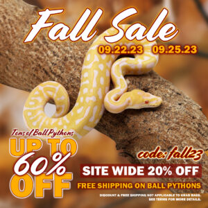 Fall-Sale-2023-copy-300x300 Fall Sale 2023 copy