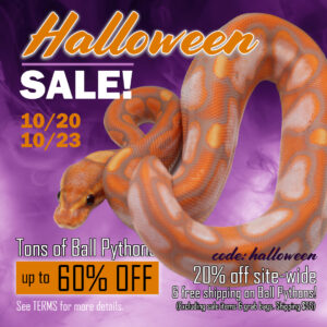 Halloween2023-copy-300x300 Halloween2023 copy