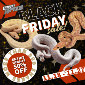 black-friday-2023-300x300 black friday 2023