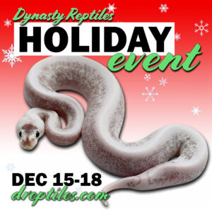 Holiday-Sale-2023-IG-copy-2-300x300 Holiday Sale 2023 - IG copy 2