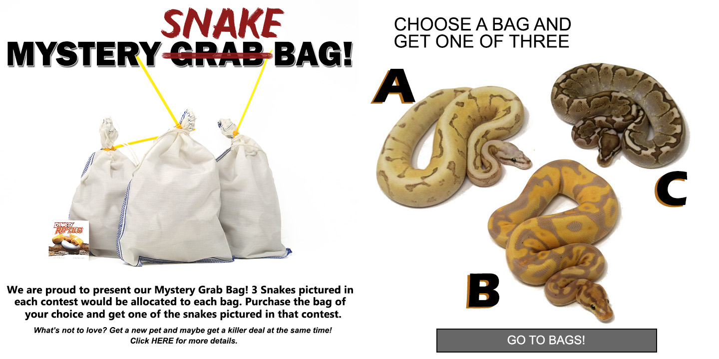 grabbag-copy1 Ball Pythons and Other Reptiles For Sale