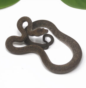 1-1C-Macklots-Python_2024_1-291x300 1-1C Macklot's Python_2024_1
