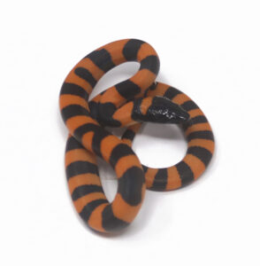 2-11A-Ring-Python_2024_1-294x300 2-11A Ring Python_2024_1