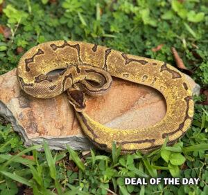 103-7A-300x282 103-7A