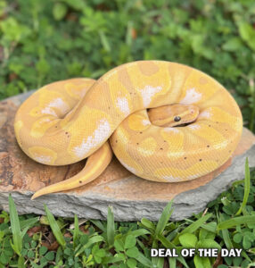 107-1A-286x300 107-1A