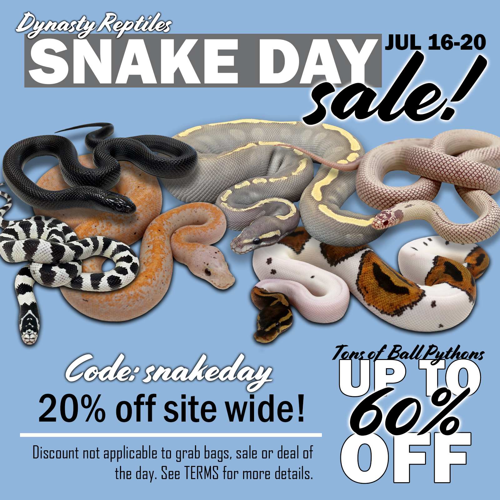Snake-Day-2026-copy Ball Pythons and other Reptiles for sale
